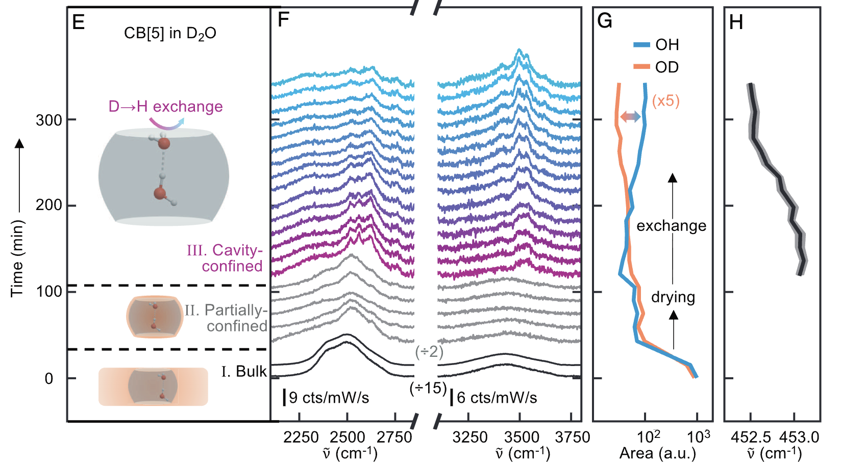 Raman spectroscopy of nanoscale confined water